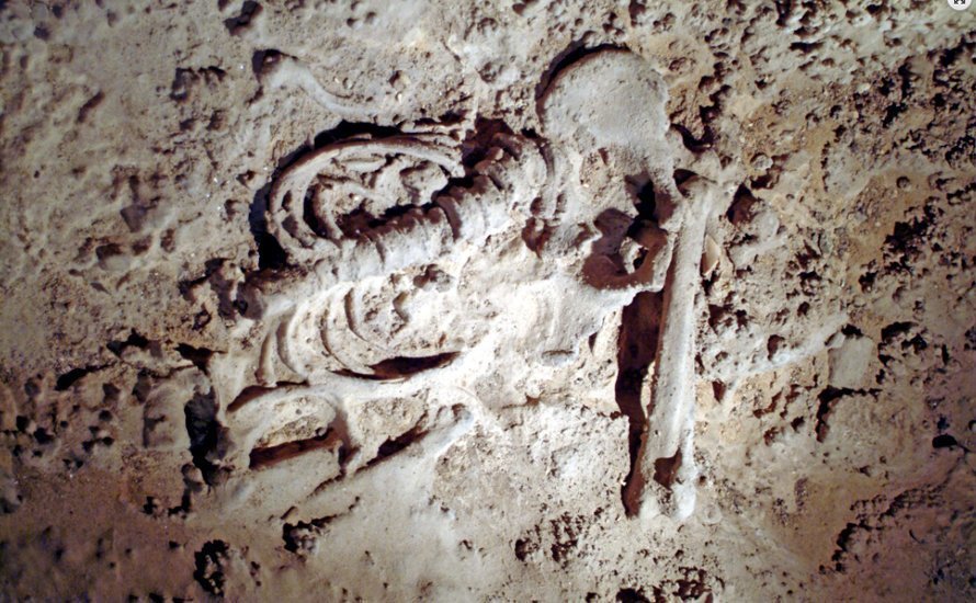 restos humanos fosilizados en la Cueva de los Murciélagos de Zuheros