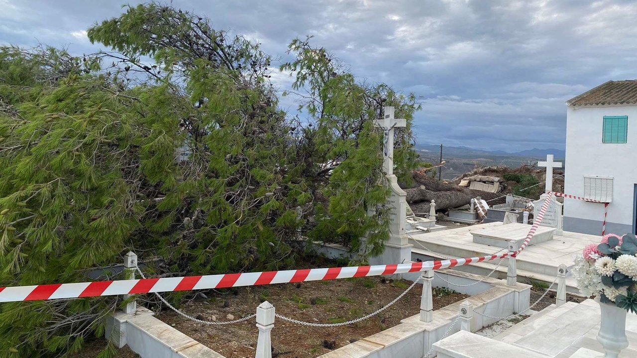 El árbol derribó el muro e impactó contra algunas tumbas (Imagen: Policía Local de Benamejí)