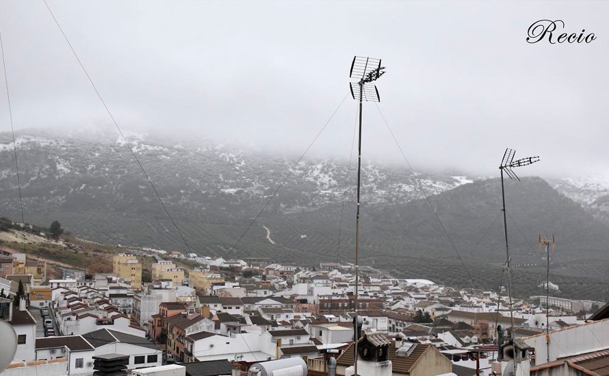 doña mencia nieve b