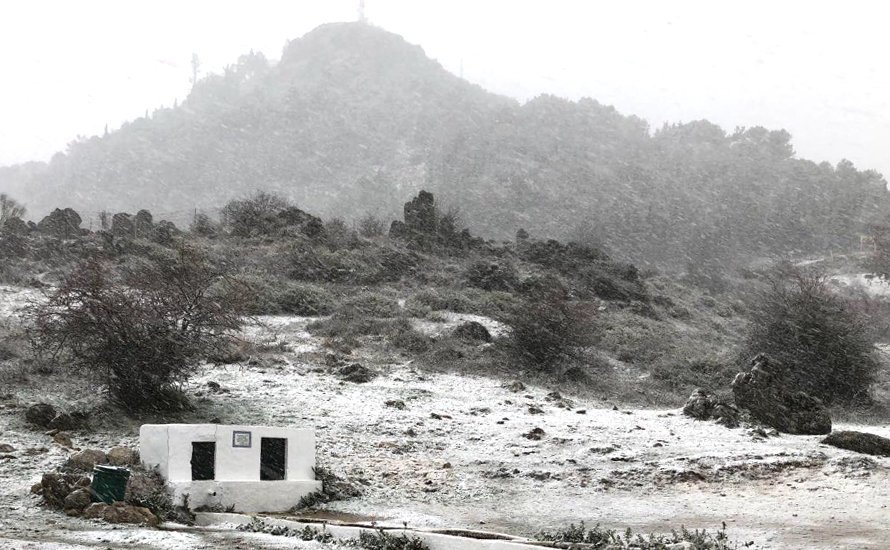 nieve cabra 2b