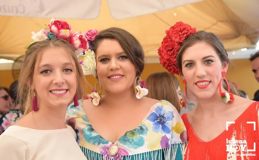 J Ferrer Feria 23