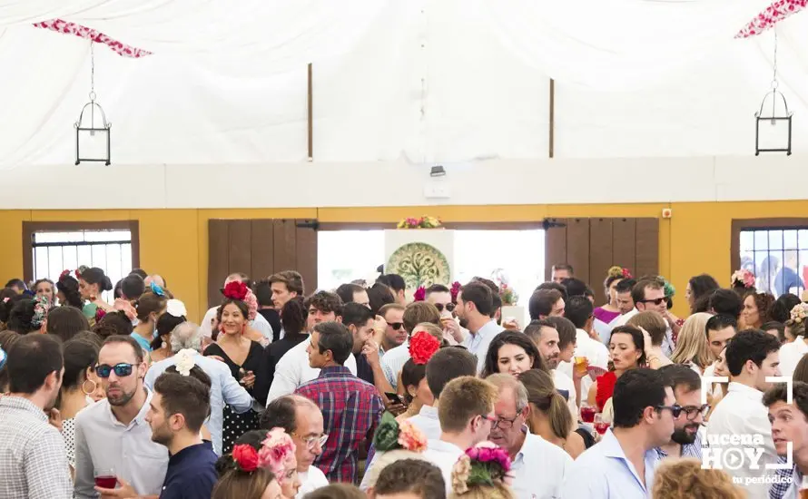 Feria de d&iacute;a 01