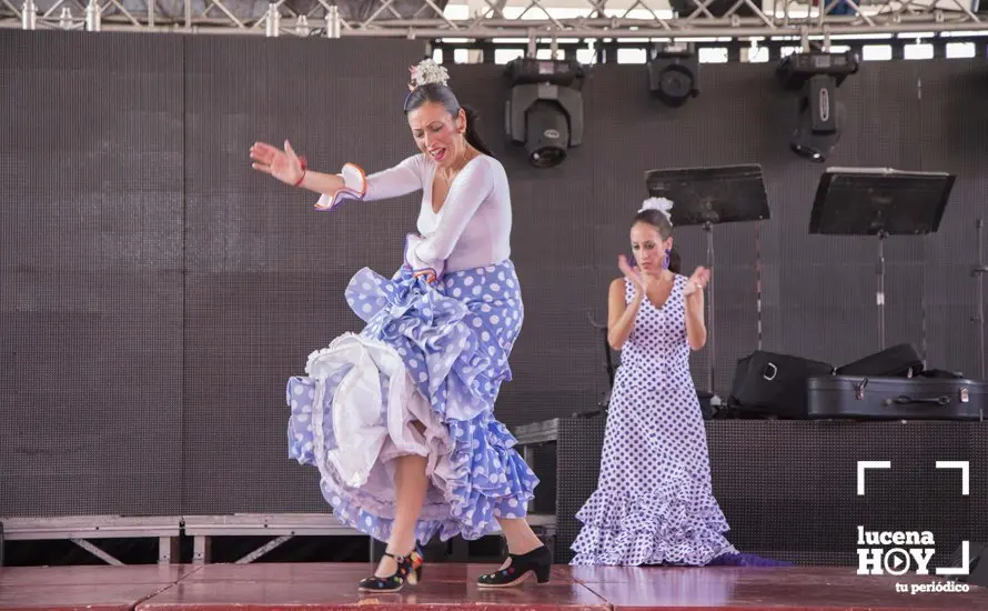 Feria de d&iacute;a 05