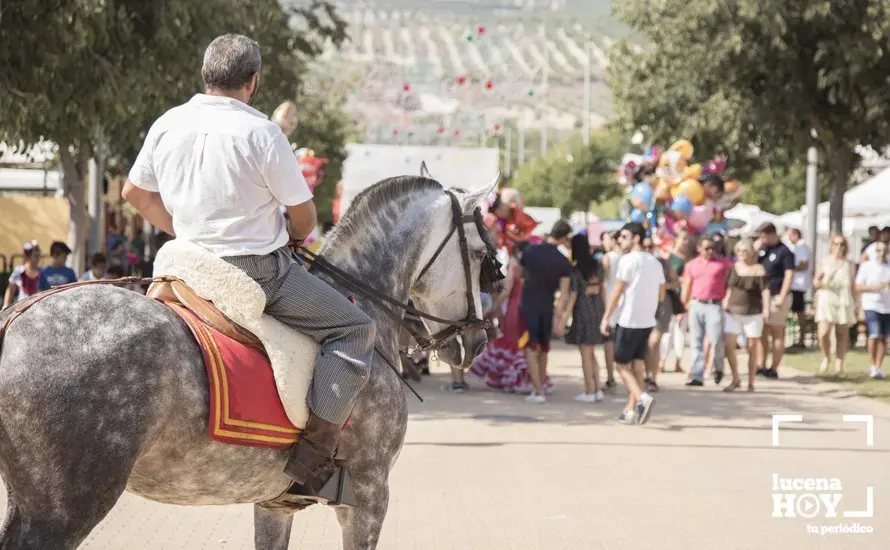 Feria de d&iacute;a 37