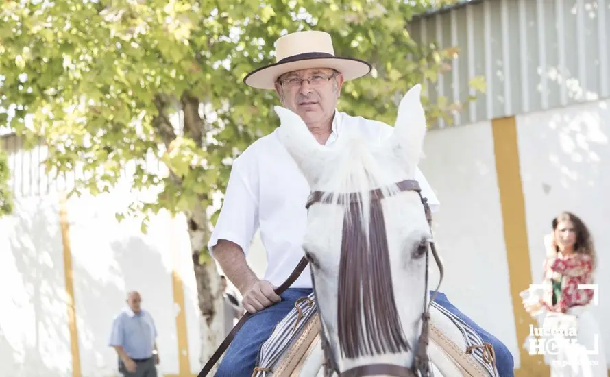 Feria de d&iacute;a 41