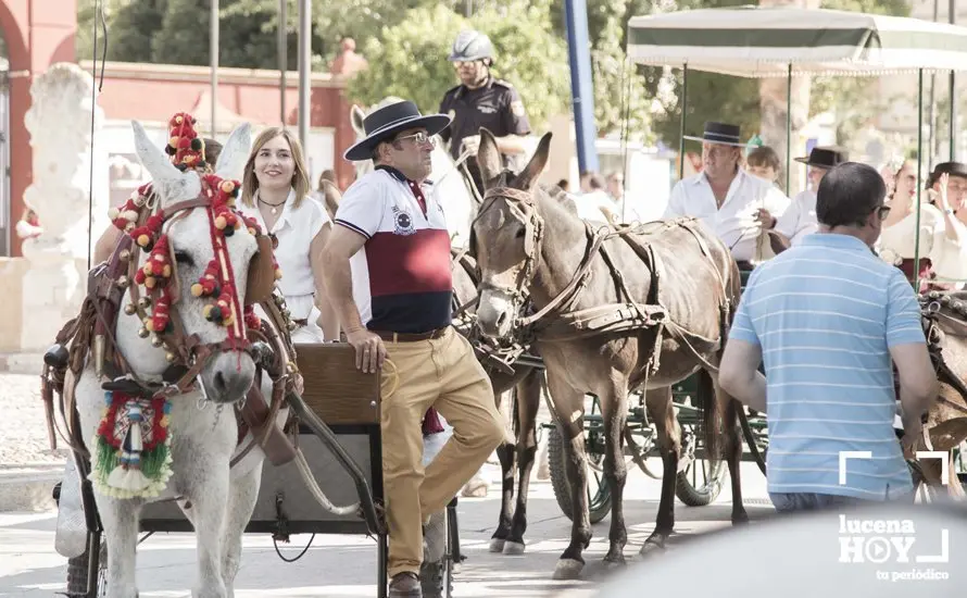 Feria de d&iacute;a 45