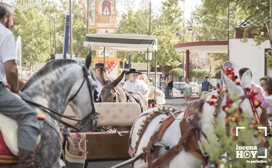 Feria de d&iacute;a 46