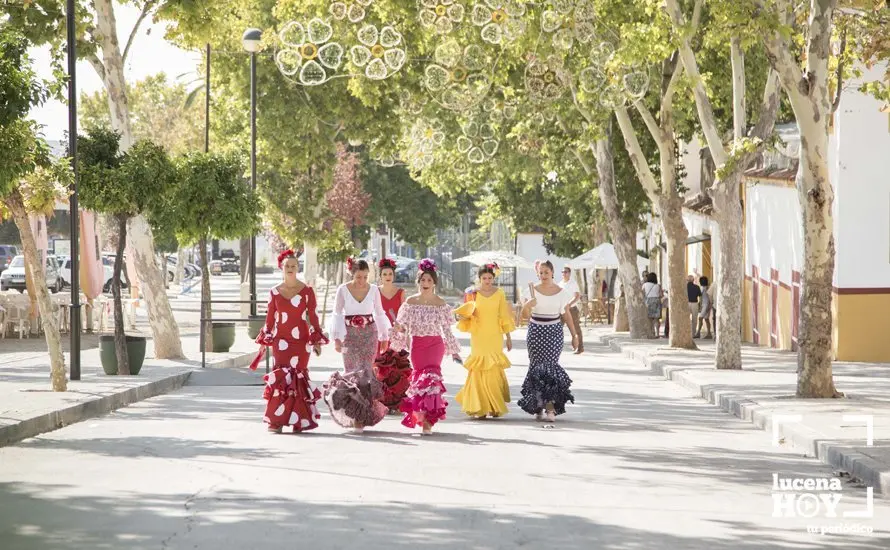 Feria de d&iacute;a 47