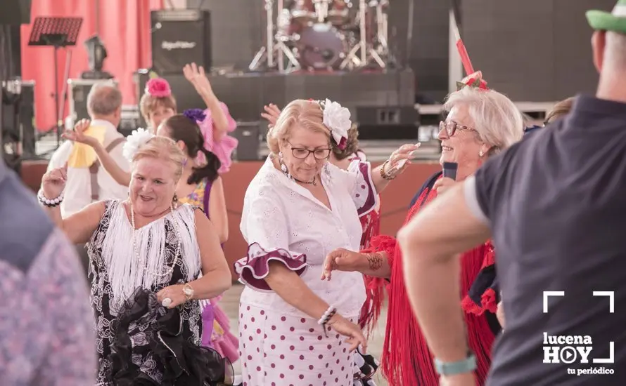 Feria de d&iacute;a 48