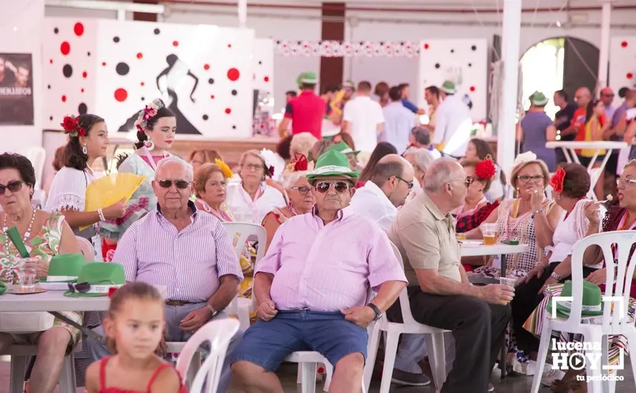 Feria de d&iacute;a 50