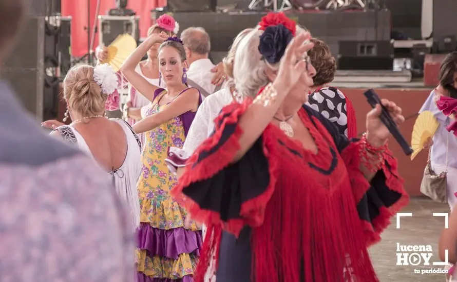 Feria de d&iacute;a 51