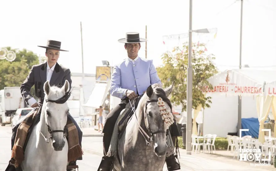 Feria de d&iacute;a 52