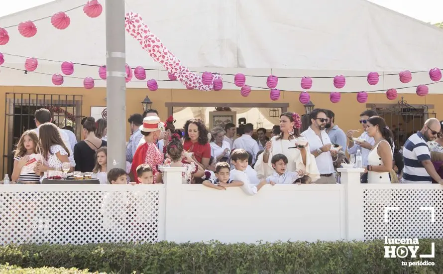 Feria de d&iacute;a 53