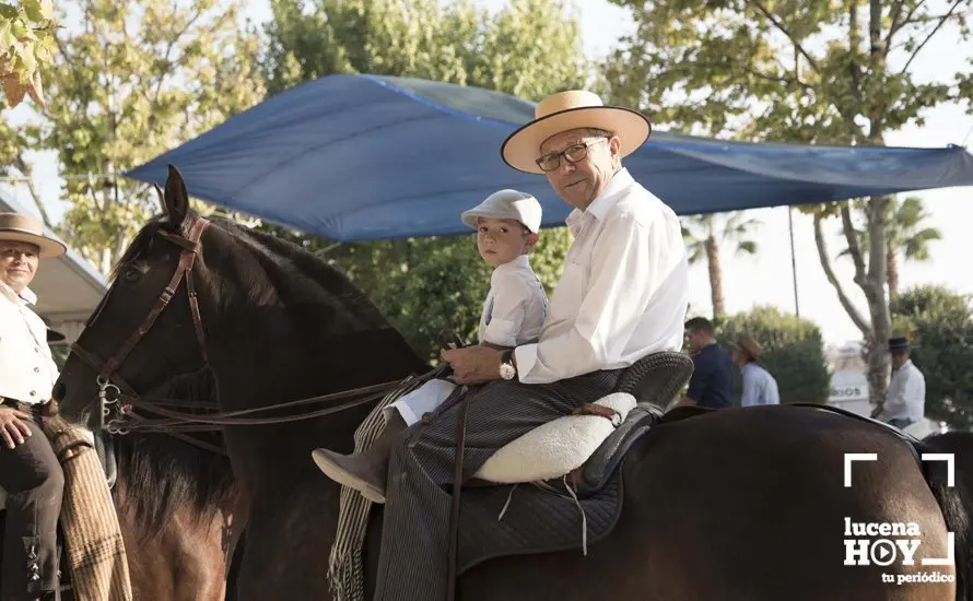 Feria de d&iacute;a 61