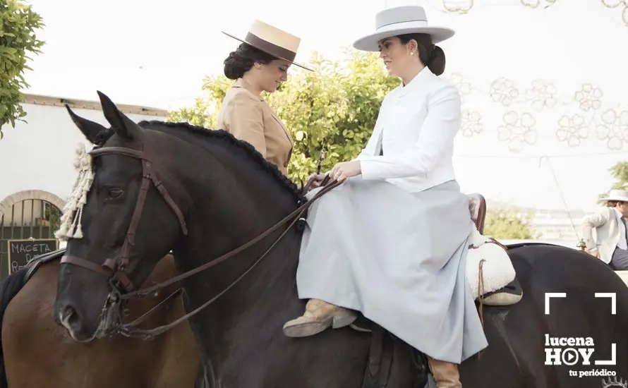 Feria de d&iacute;a 63