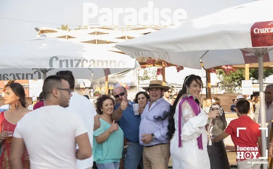 Feria de d&iacute;a 84