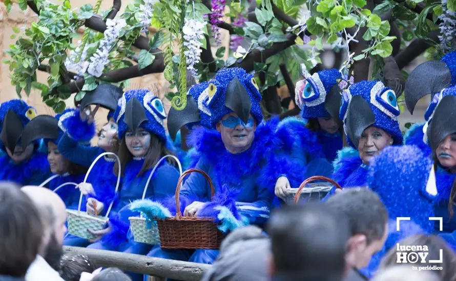 Cabalgata 116