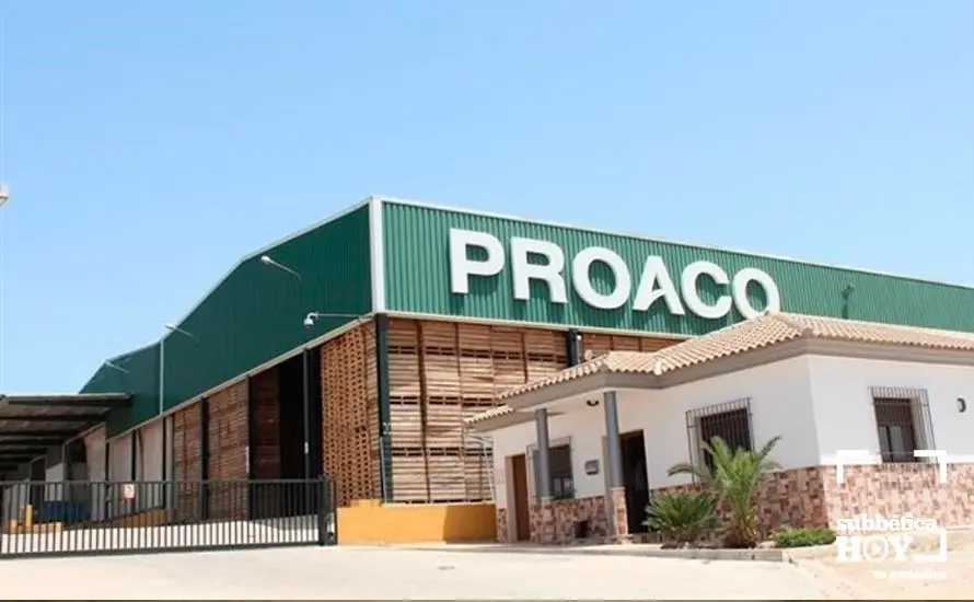 proaco 2