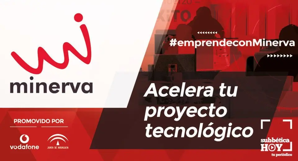 Programa Minerva