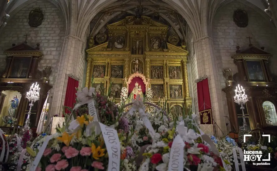Ofrenda 74