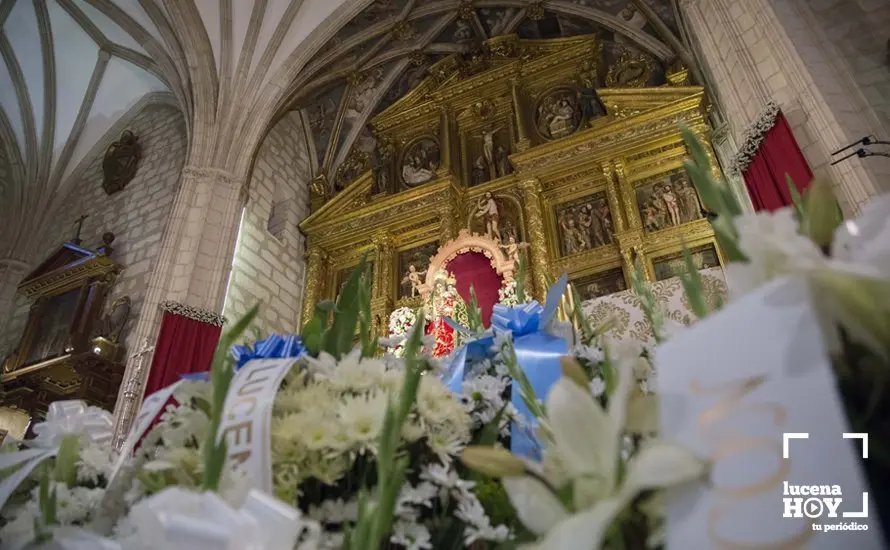 Ofrenda 75