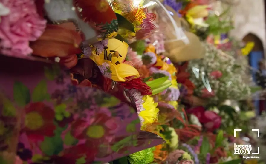 Ofrenda 76