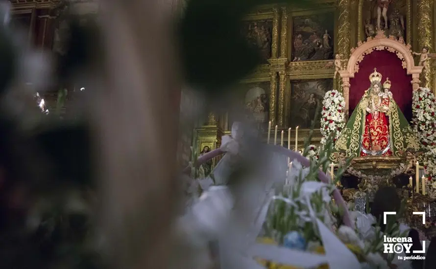 Ofrenda 107
