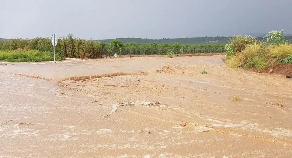 carretera antequera