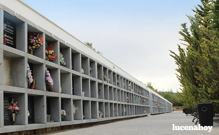 Una imagen del Cementerio Municipal de San Jorge