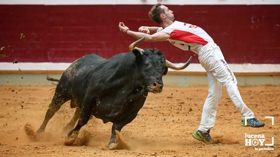 recortadores lh