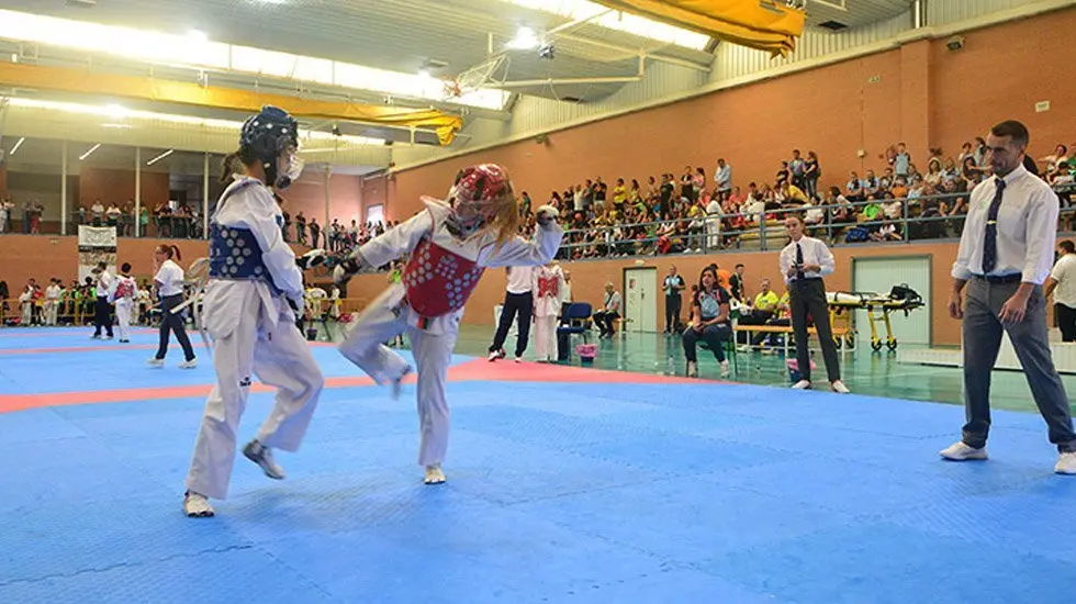 taekwondo