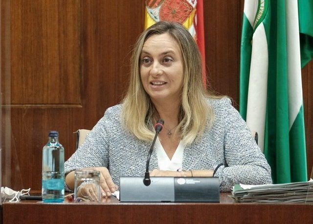Marifrán Carazo durante la Comisión
