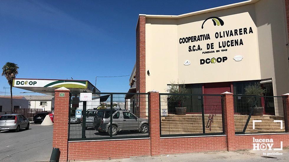  Cooperativa Olivarera de Lucena 