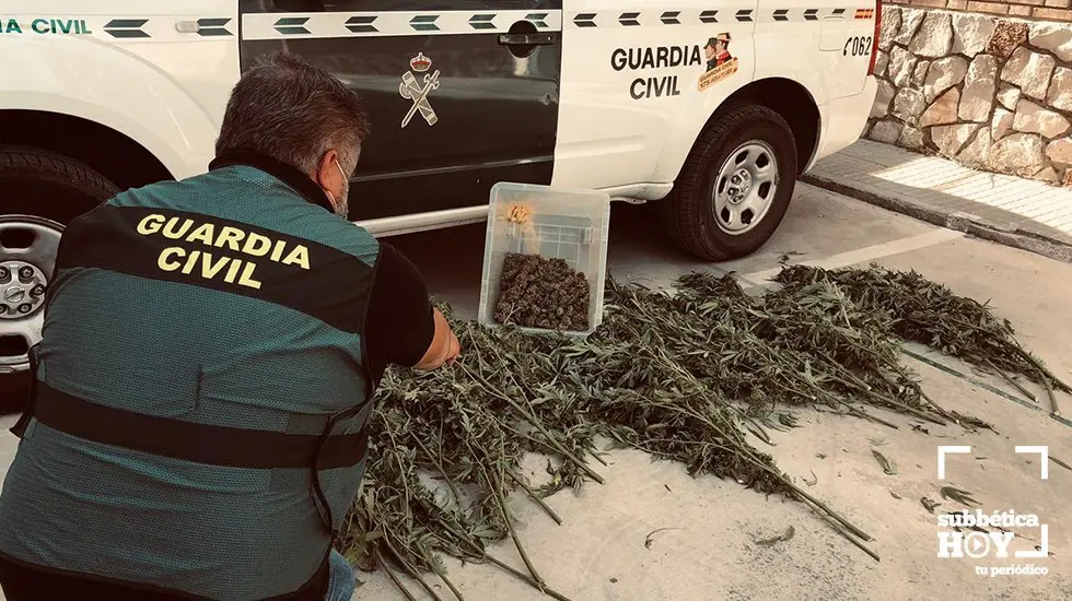 Guardia Civil Palenciana