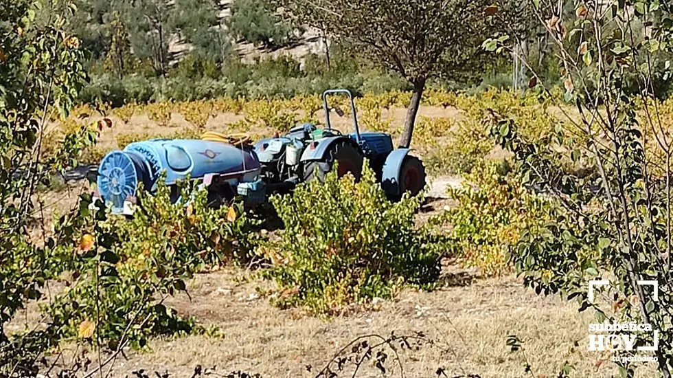 tractorista accidente do&ntilde;a manc&iacute;a subb&eacute;tica