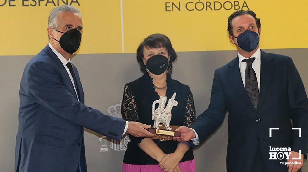  Premio Constitución AFAR 