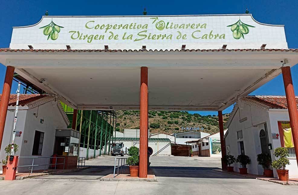 Cooperativa Olivarera Virgen de la Sierra de Cabra