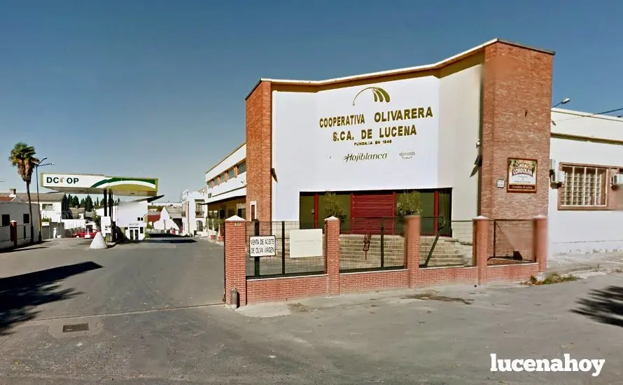 <p> COOPERATIVA OLIVARERA DE LUCENA </p>