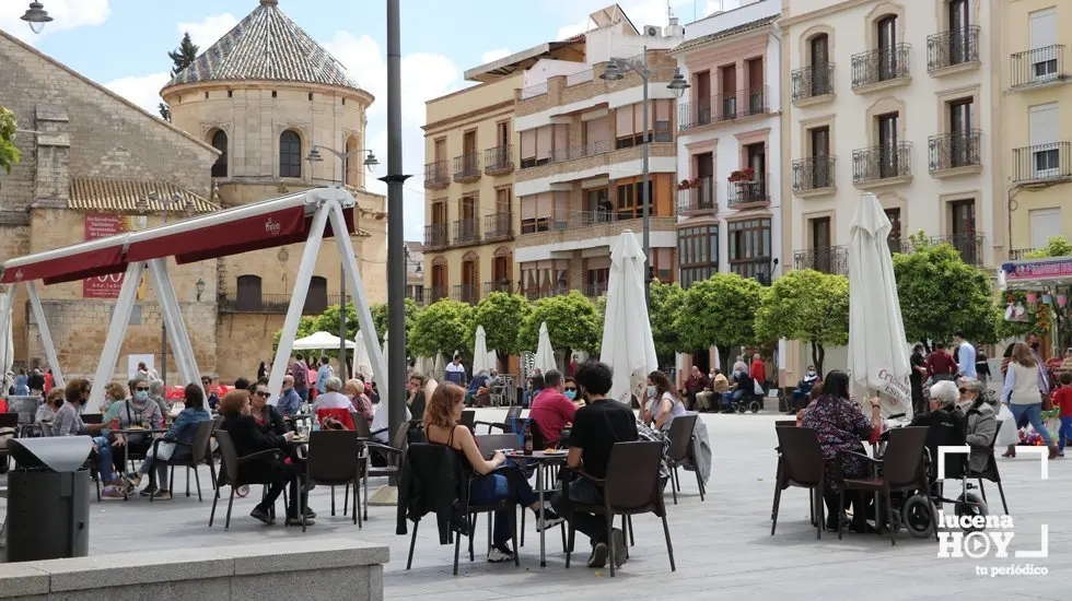 <p> hosteleria plaza nueva </p>