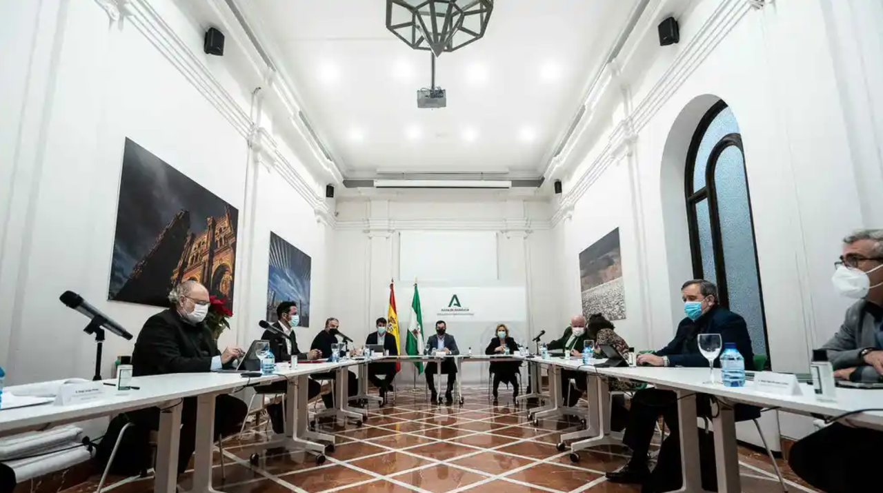 <p> comite de expertos andalucia </p>