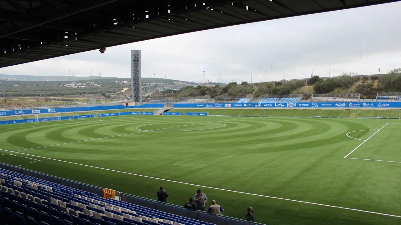 <p> Césped estadio </p>