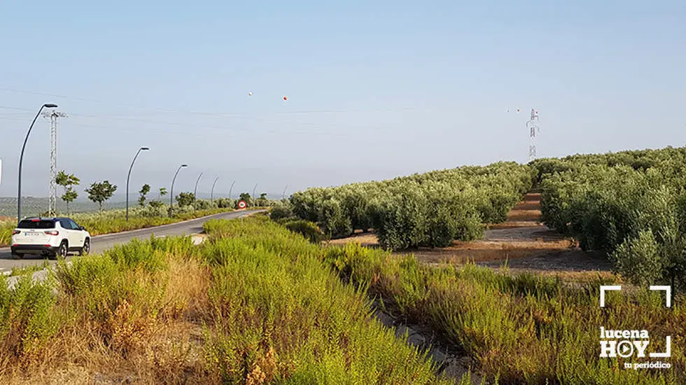 <p> terrenos donde se ubicará el futuro hospital </p>