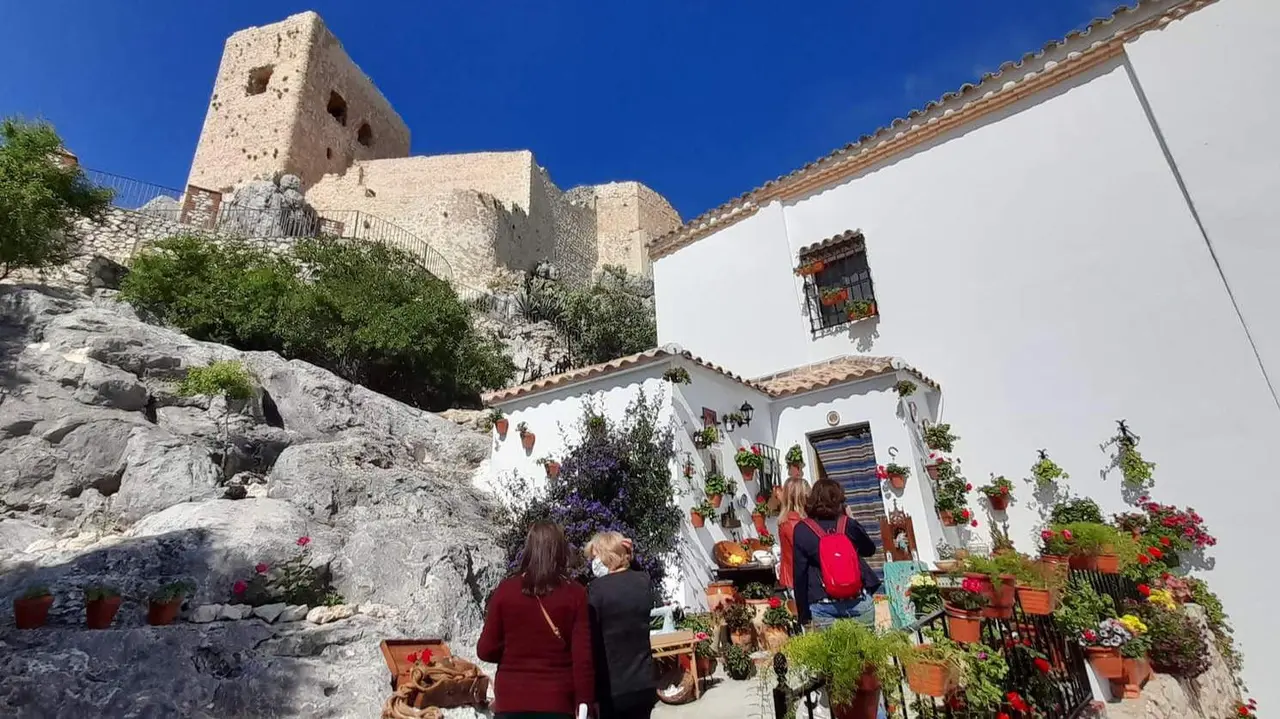 Luque concurso patios