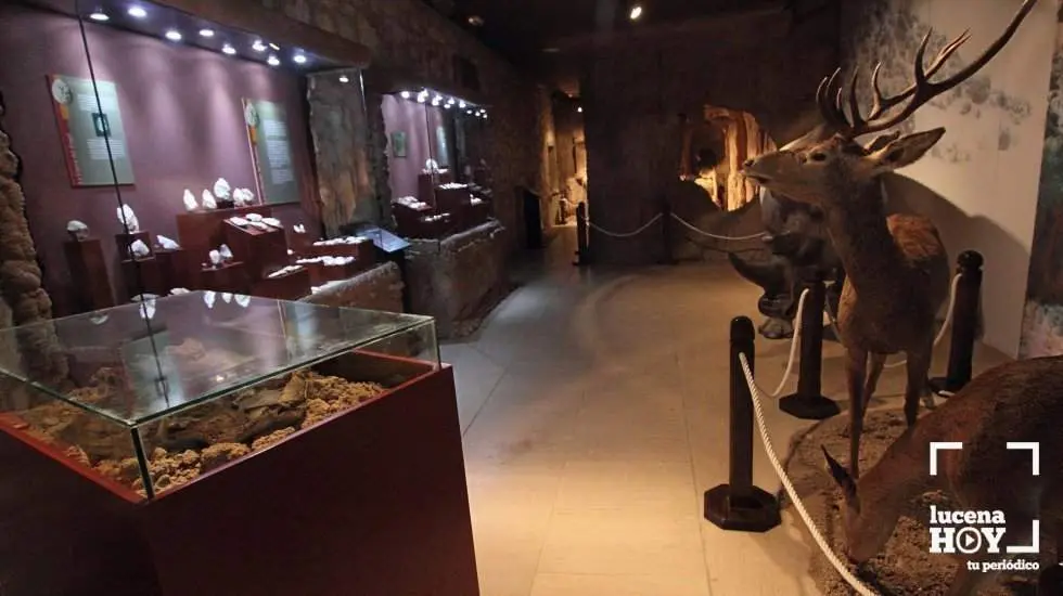 <p> museo arqueológico </p>