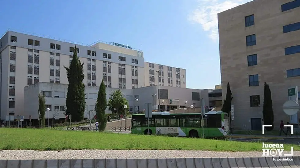 <p> Hospital Reina Sofía </p>