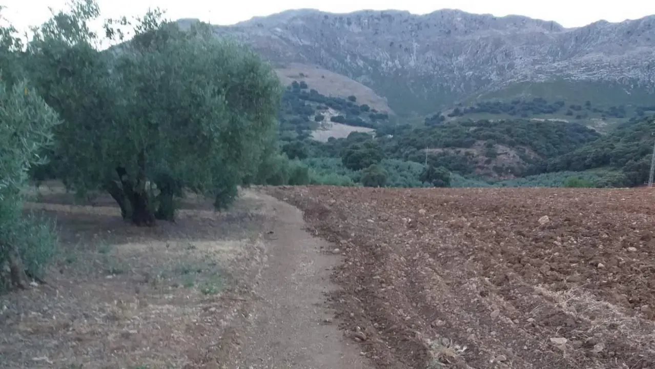 Trazado arado La Tiñosa