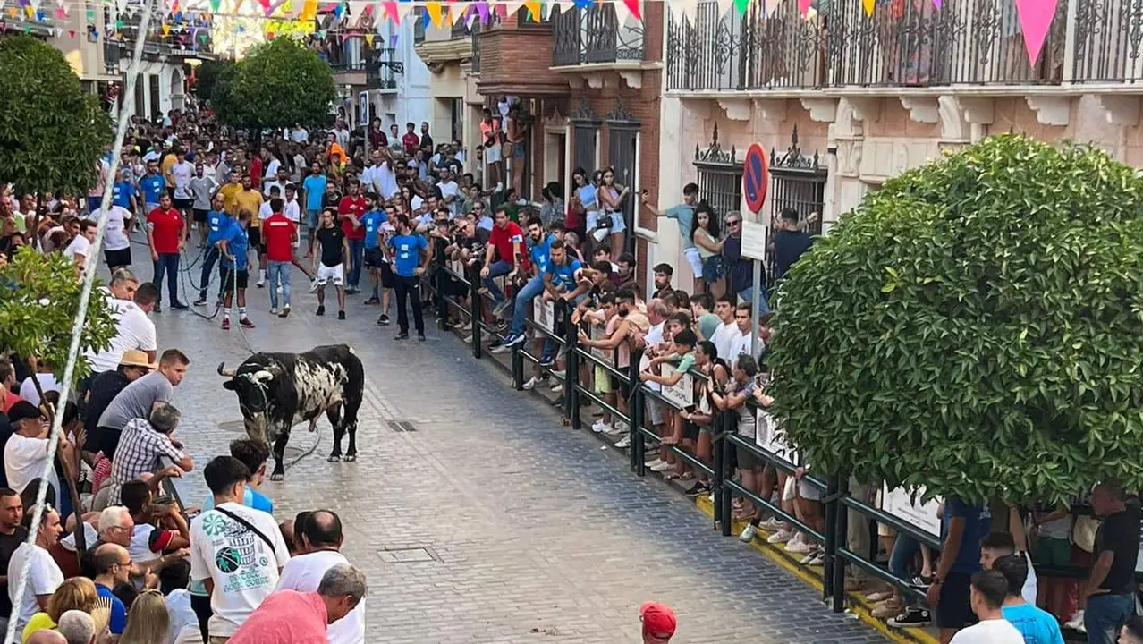 Toro de Cuerda Carcabuey