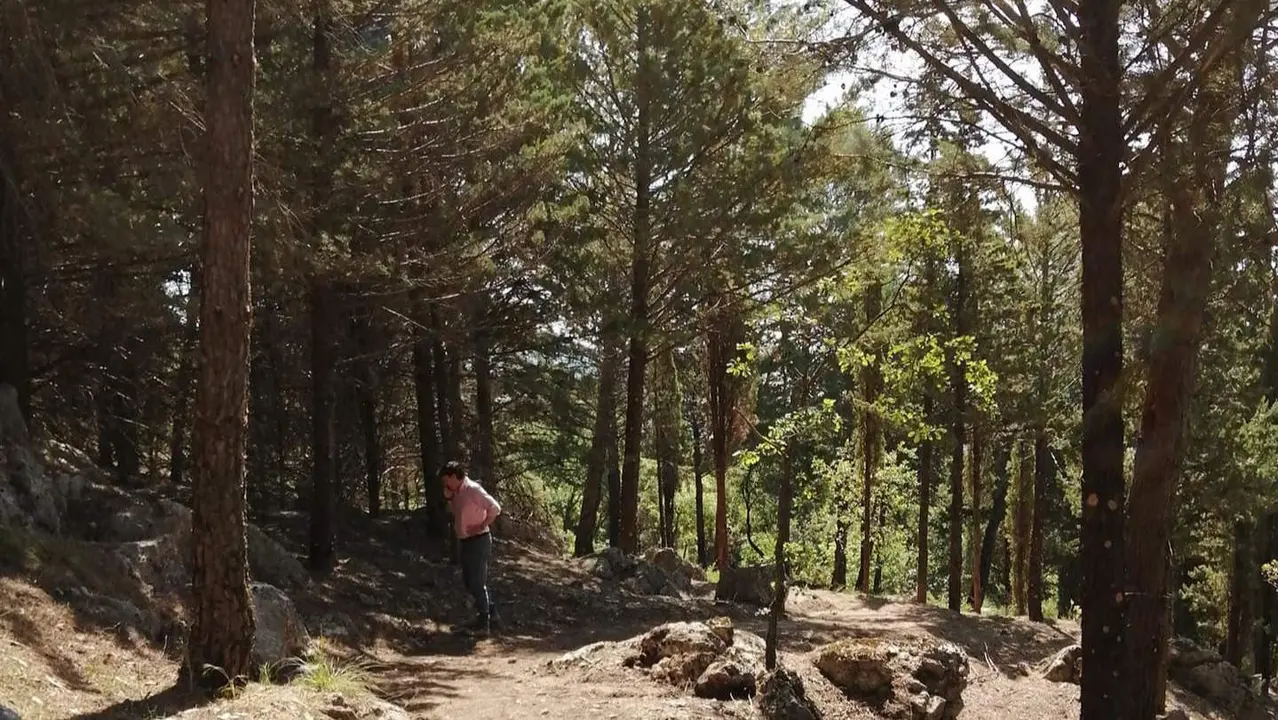 Nuevo sendero del Picacho de Cabra