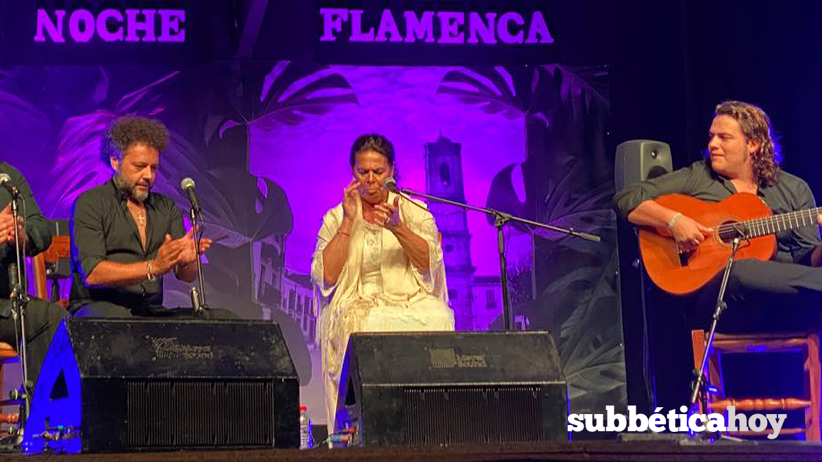 noche flamenca de zambra