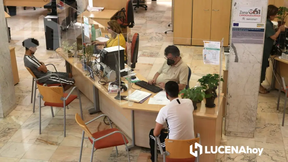 Servicio de Información y Atención a la Ciudadanía en el Ayuntamiento de Lucena. Archivo